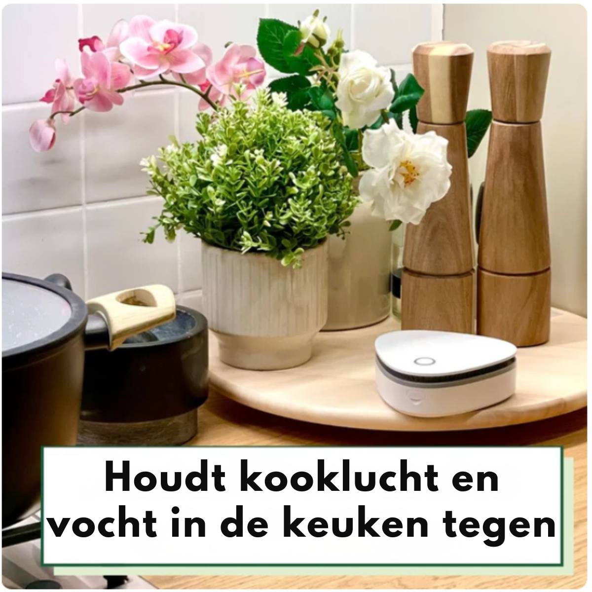 Safesmell - Geur reiniger - Wintersale!