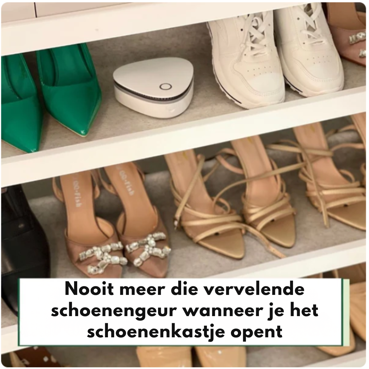 Safesmell - Geur reiniger - Wintersale!